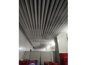 上?！ぜ味?00立方冷凍庫（可放100噸貨）-18度